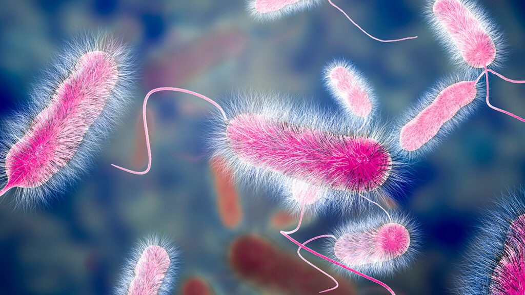 Procedura prevenzione legionella – gestione del rischio legionella negli impianti idrici e arealuci